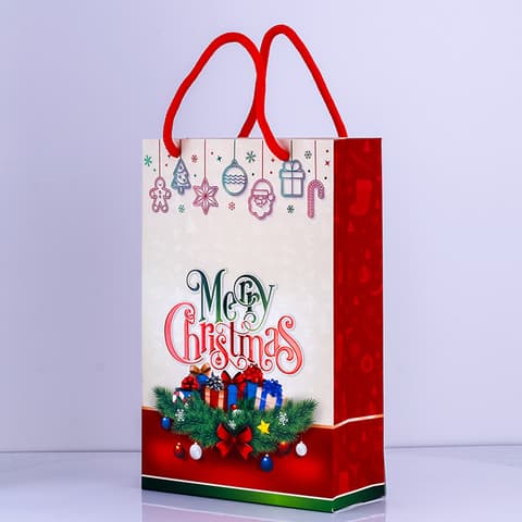 Raised Shiny + Foiled Paper Bags