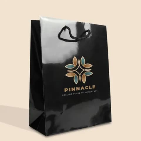 Glossy Paper Bags
